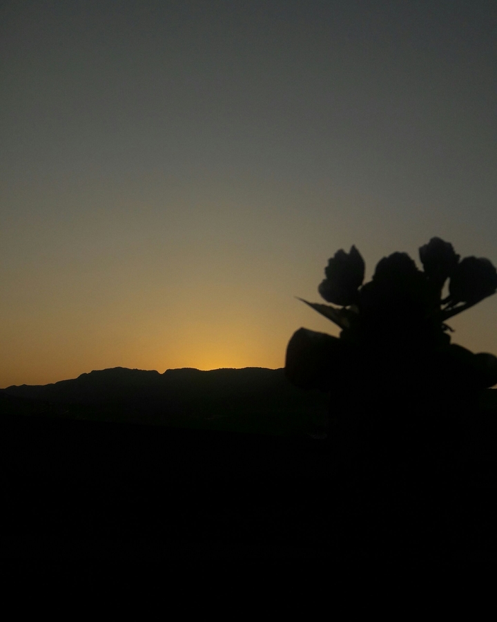#sunset
