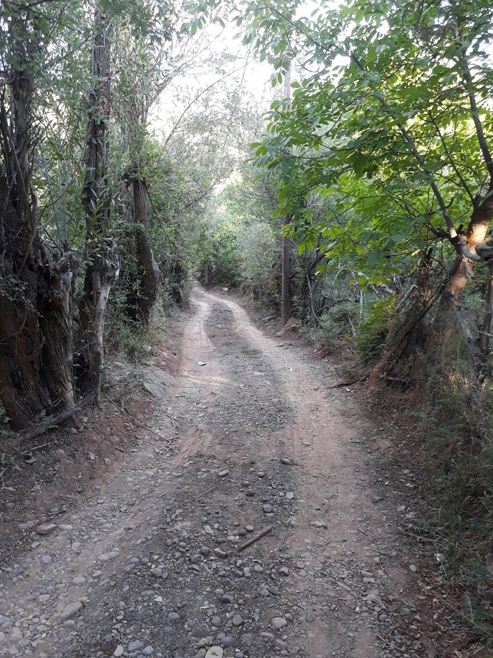 nature