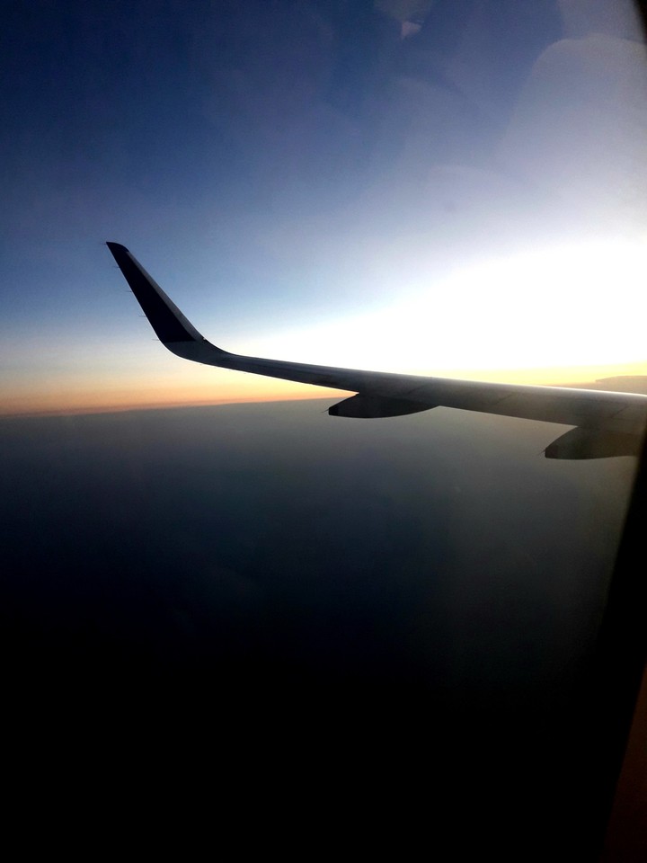 plane view