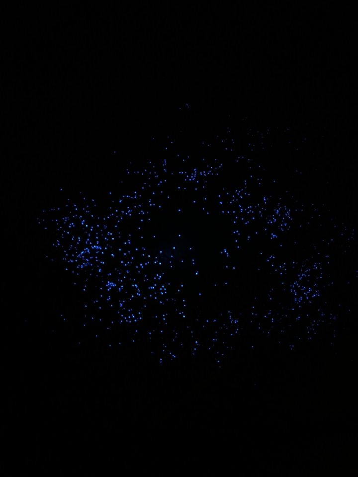 You are a sky full of stars
