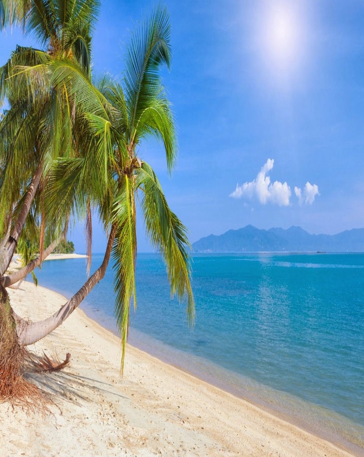 sunny beach
