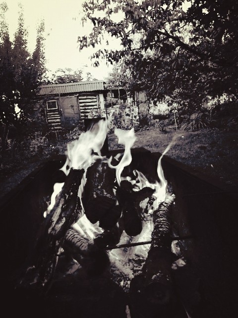 Black and white light...