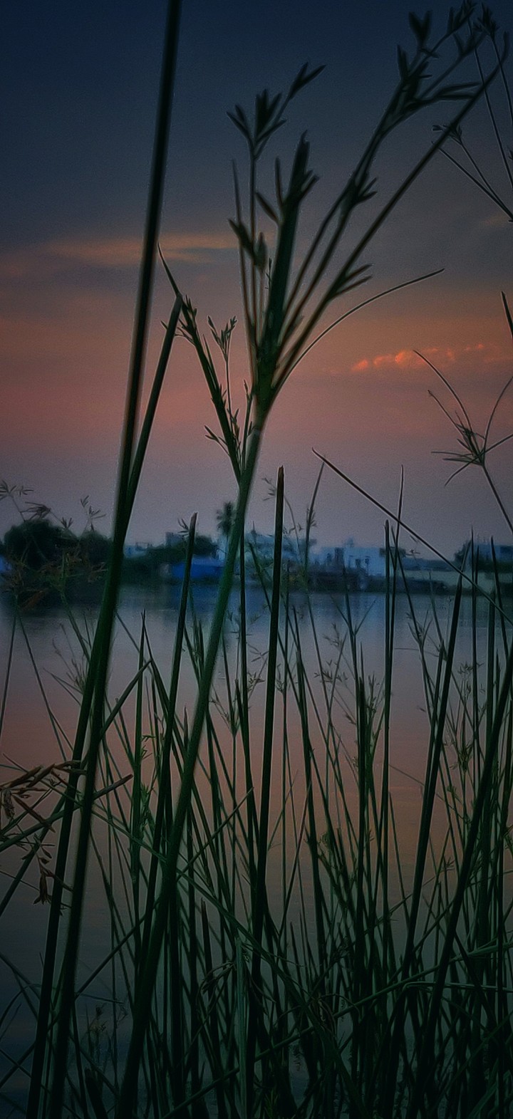 my photography
