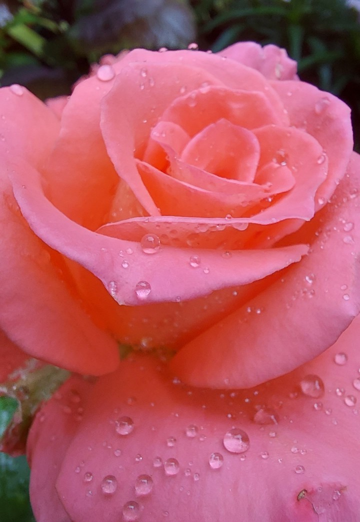 nature photography...
