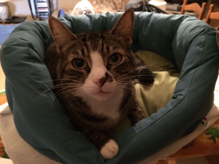 I'm looking you!