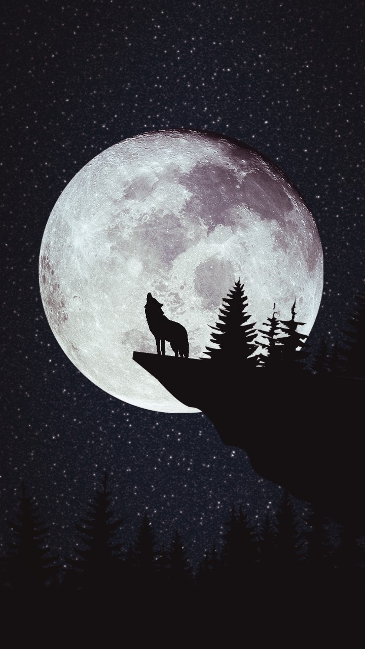 Wolf ...