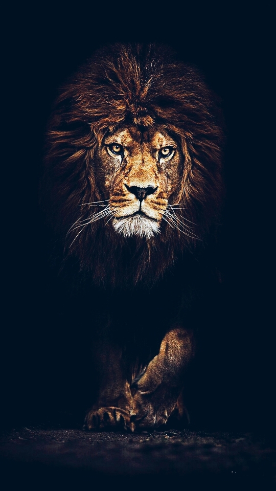 leone
