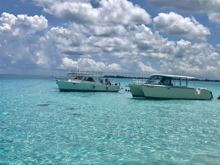 The Cayman's