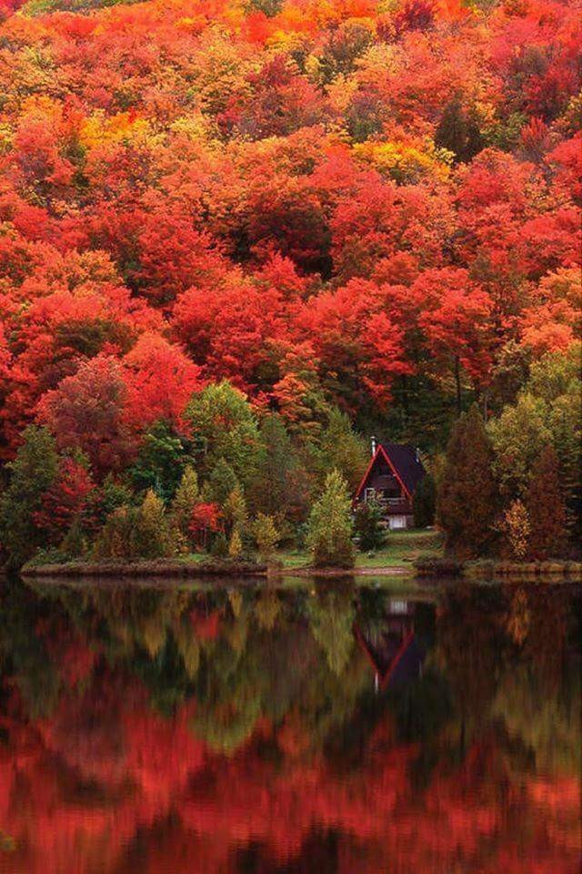 Amo a Natureza! ????