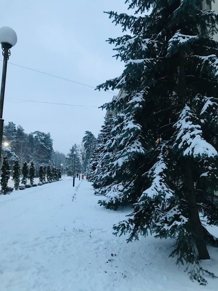снег