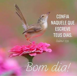 Bom dia e uma iluminada semana. "Evoluir é reconhecer nossos
