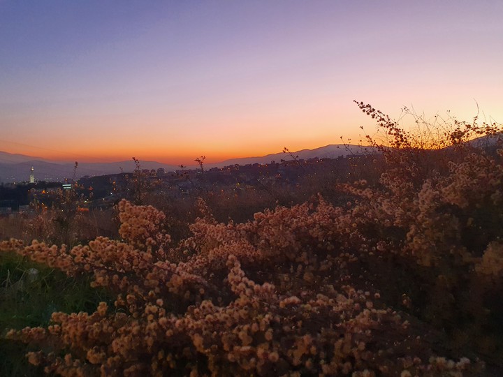 sunset
