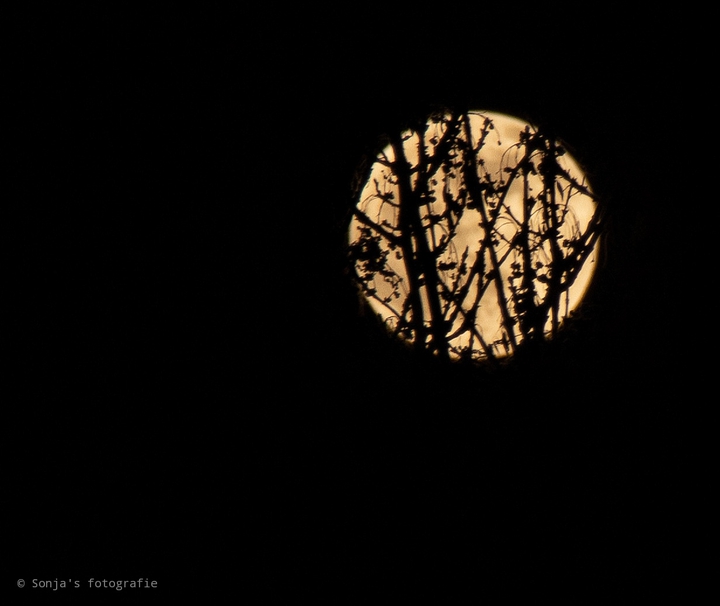 moon