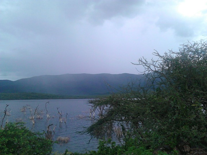 Nature