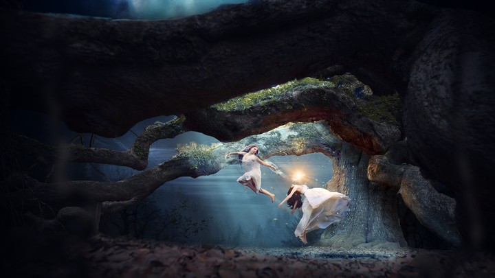 Fairies Dream