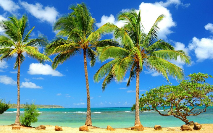 Vacation to the beach!
