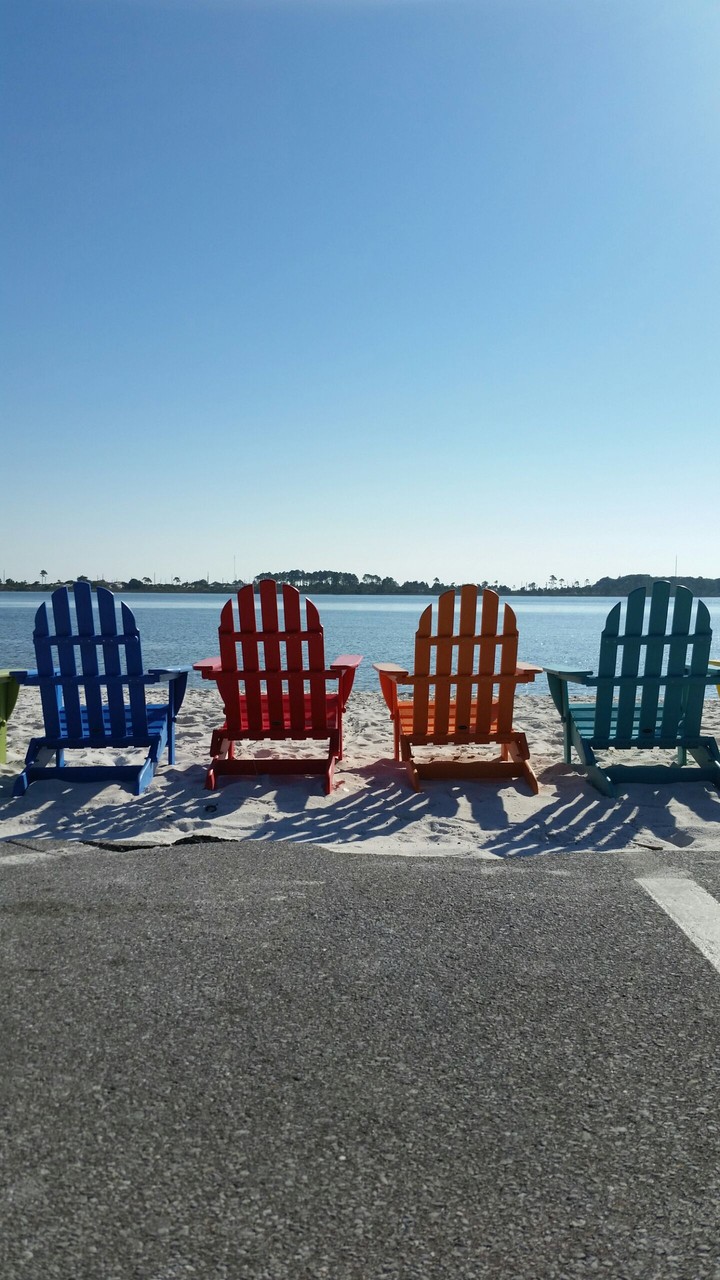 Bayside Beach Life