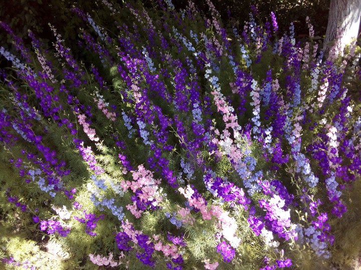 50 shades of purple