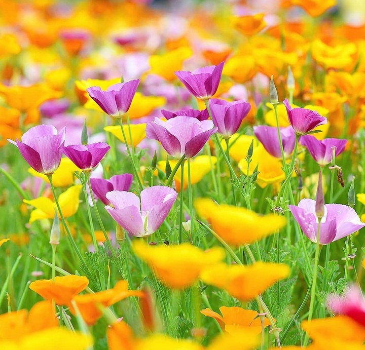 lovely day...