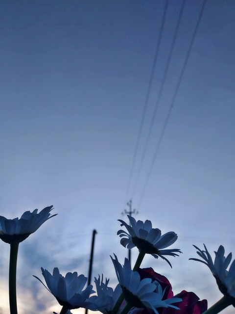 Blue sky
