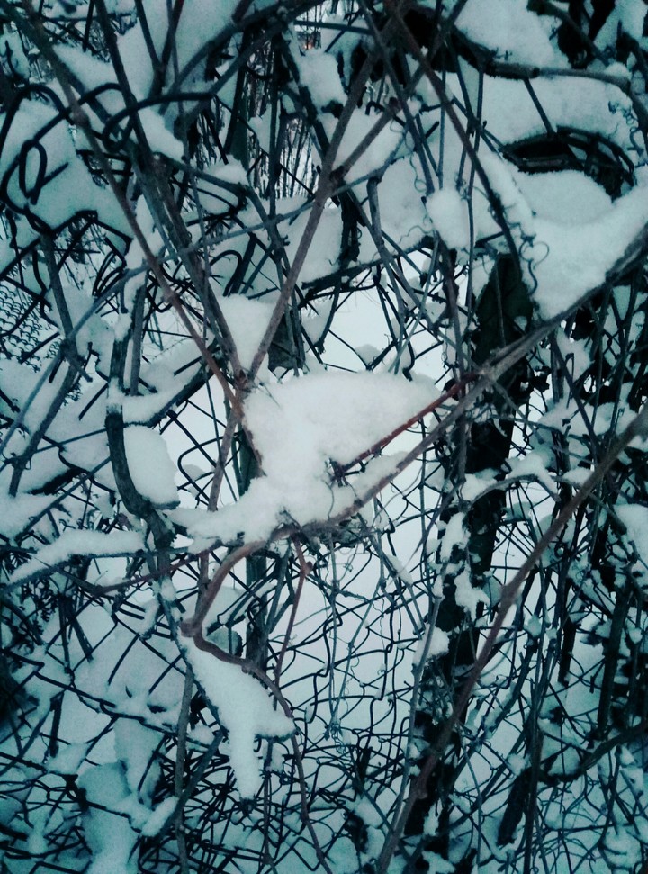 снег