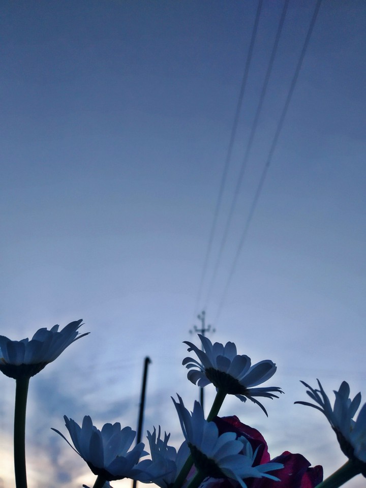 Blue sky