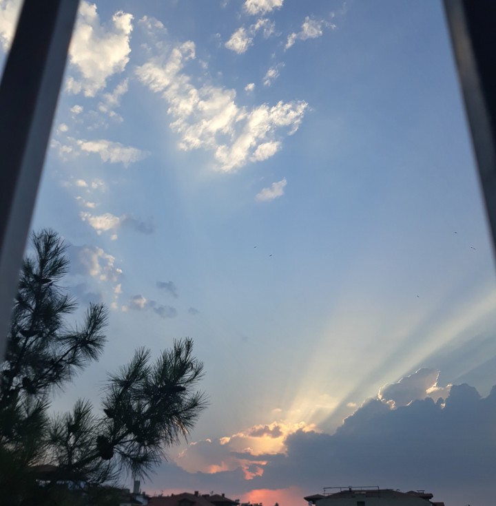 sunset