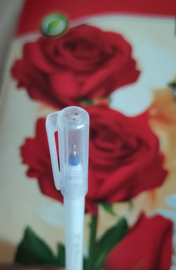 MY PEN....?