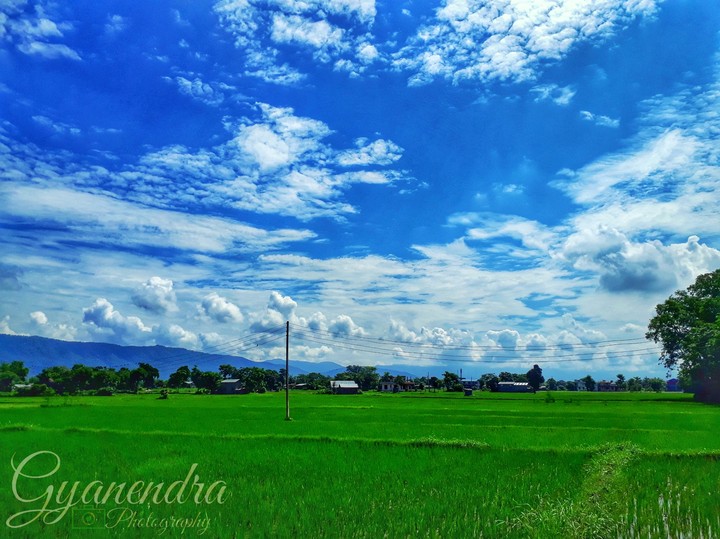 nature