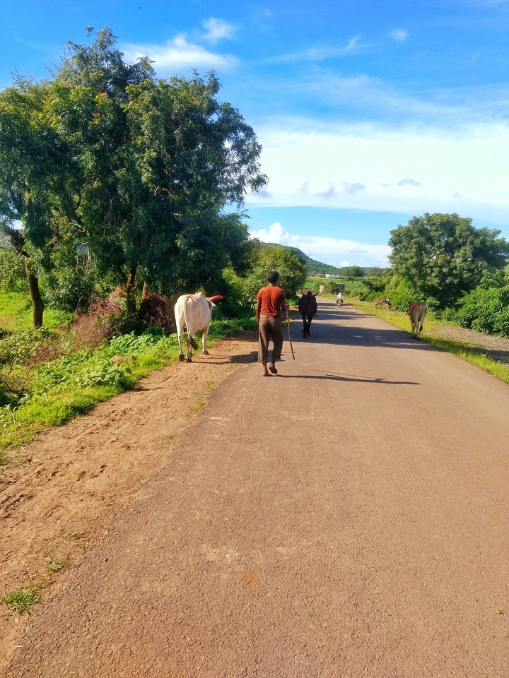 Village Life
