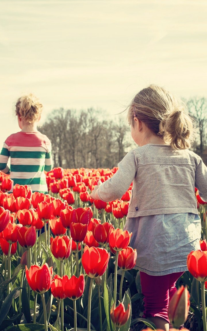flowers