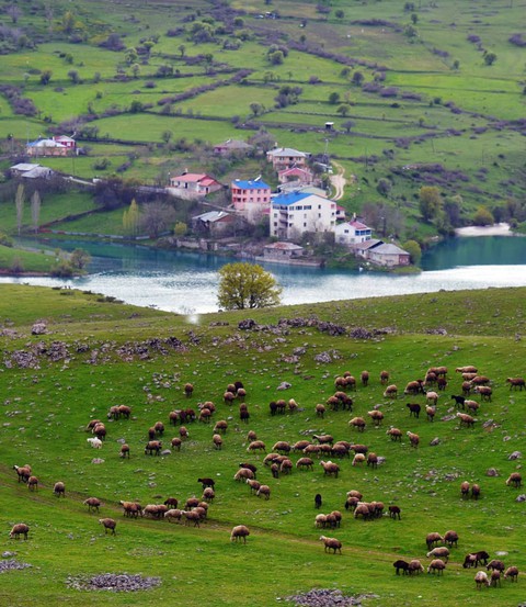 TURKEY