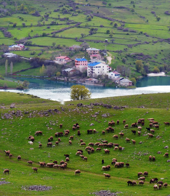 TURKEY