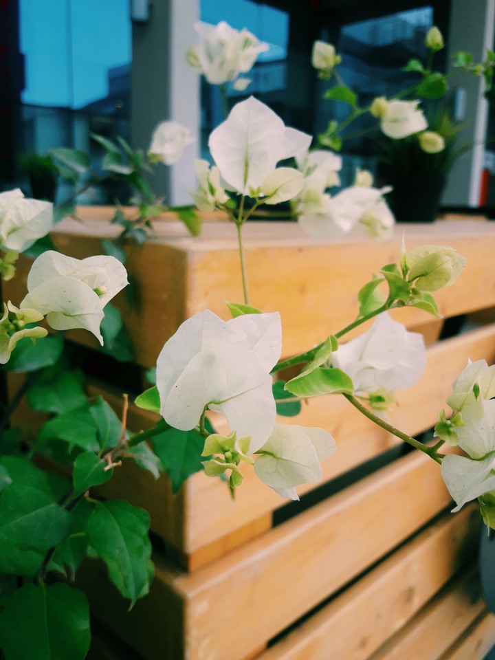 how was it?