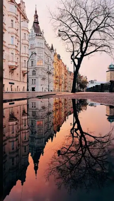 reflection