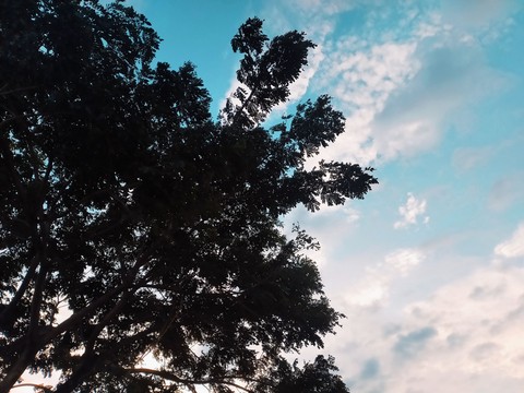 Relaxing time