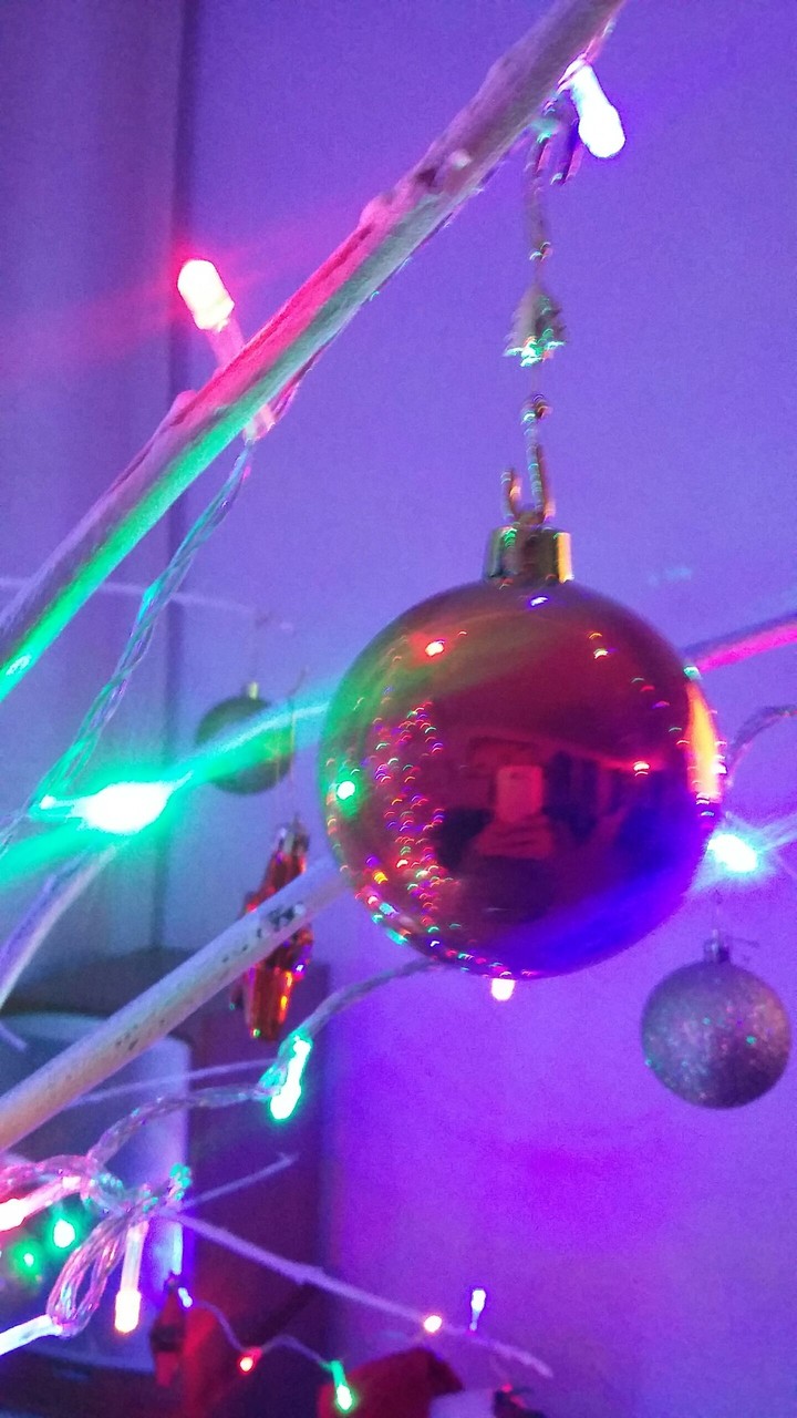 navidad