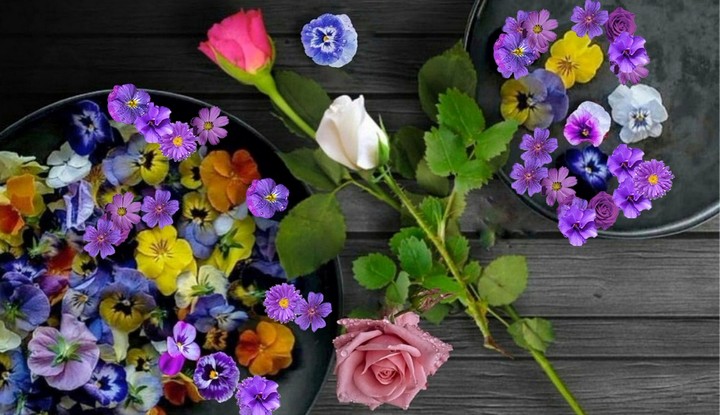 blossom