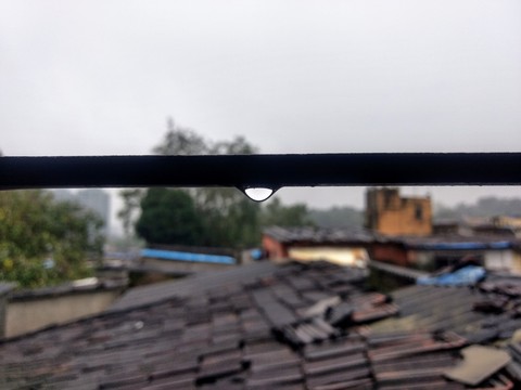 Rains portrait