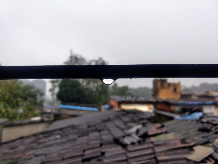 Rains portrait