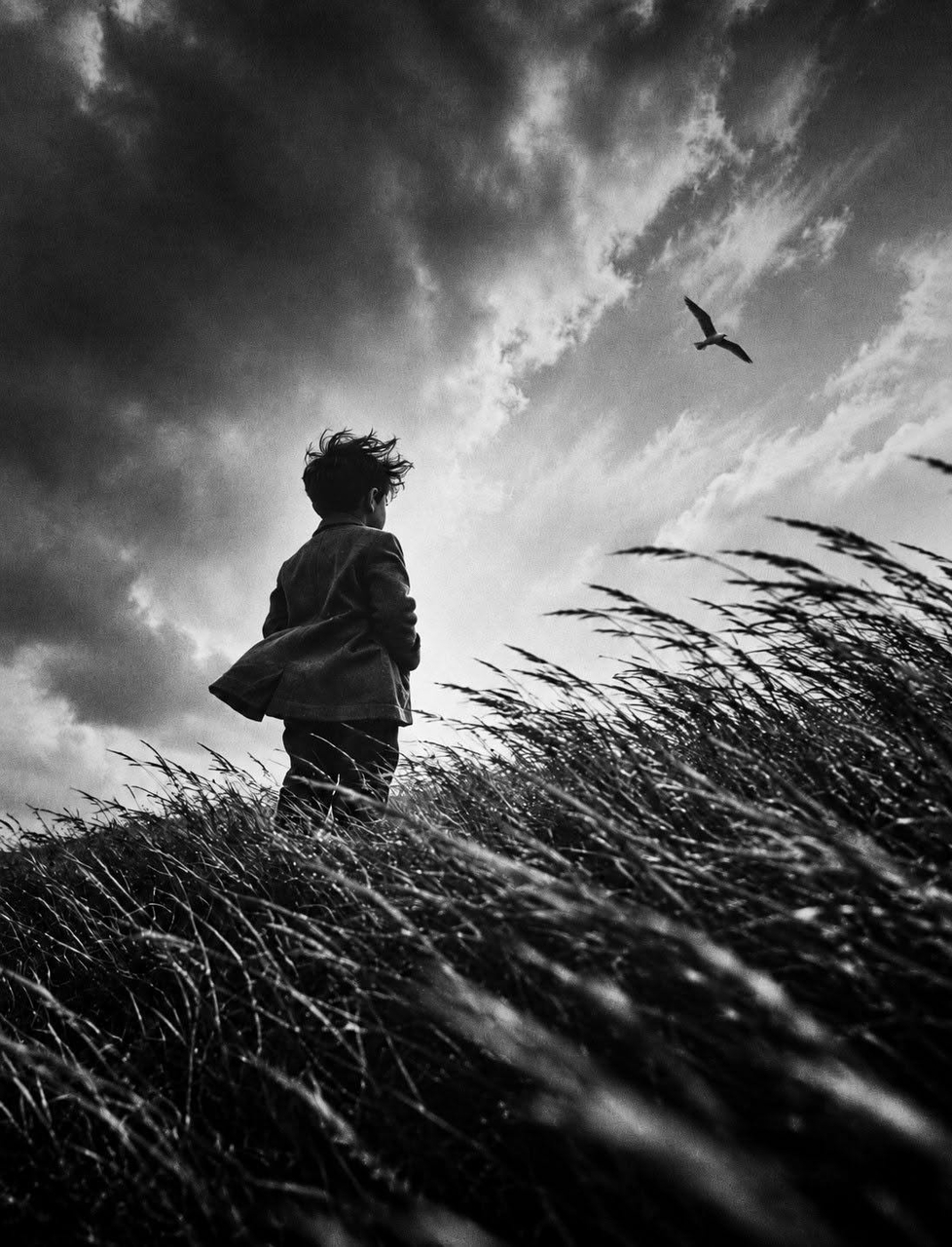 Photograph, Glass, Black_and_white