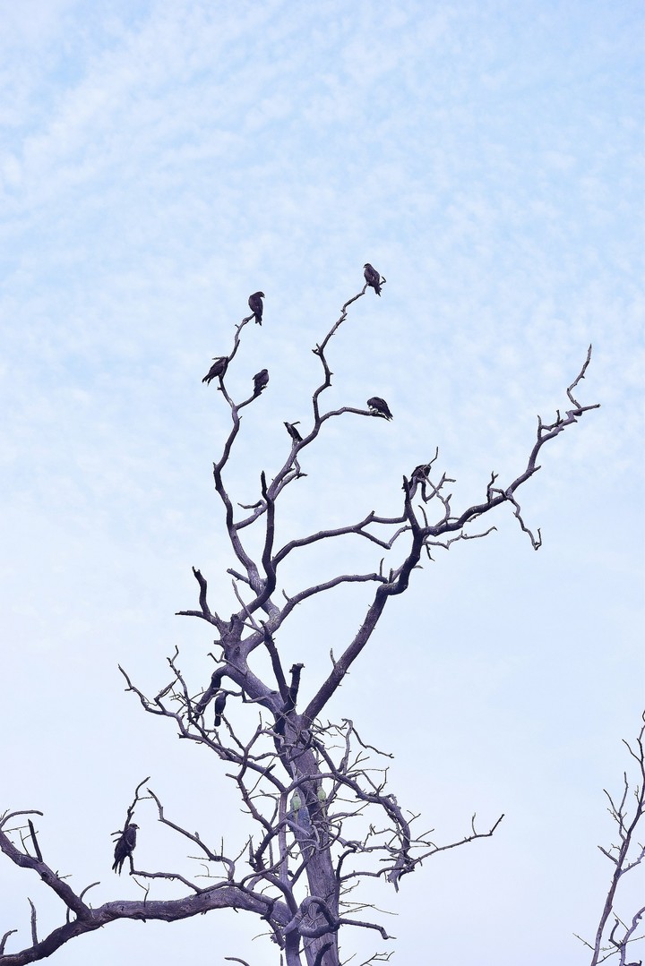 Some Random clicks...