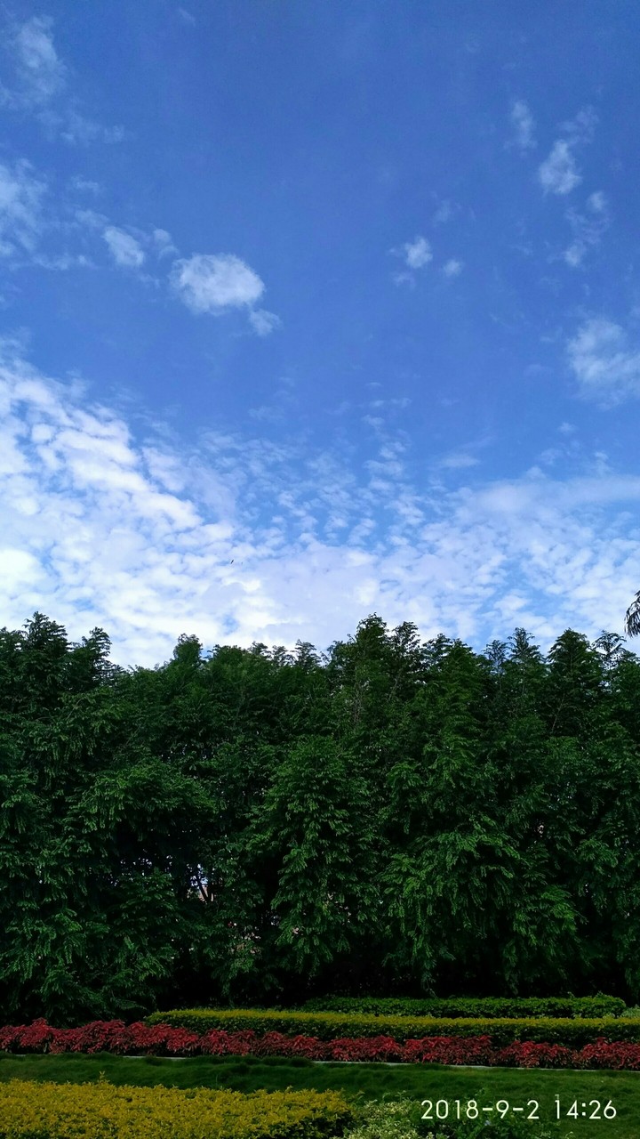 pure nature