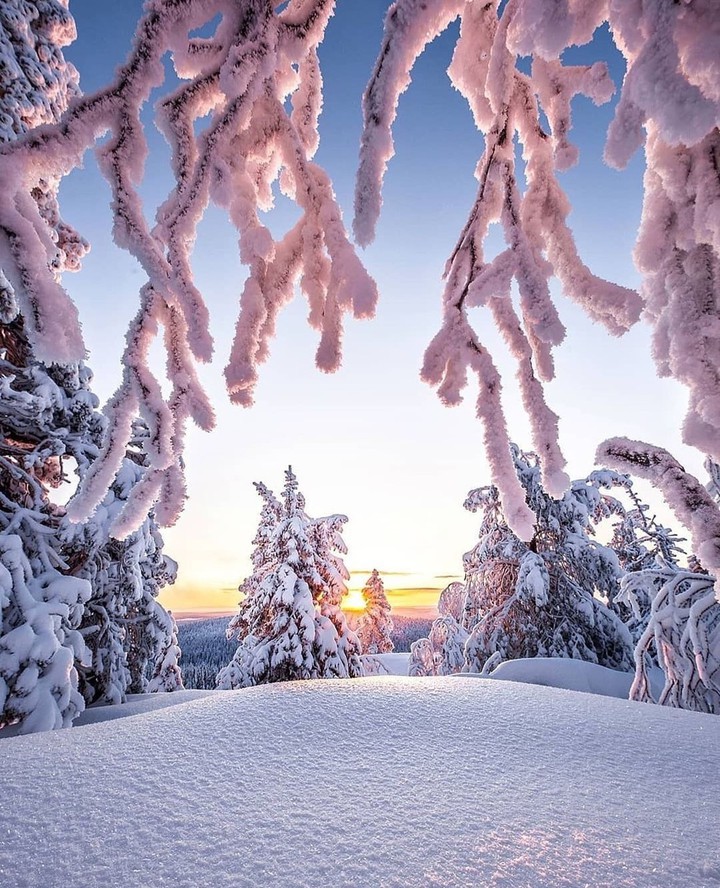 winter