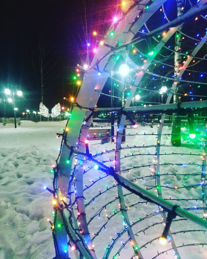 Wings for Christmas