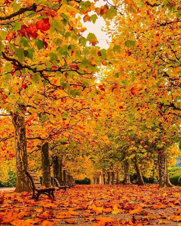 autumn