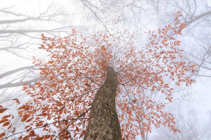 winter
