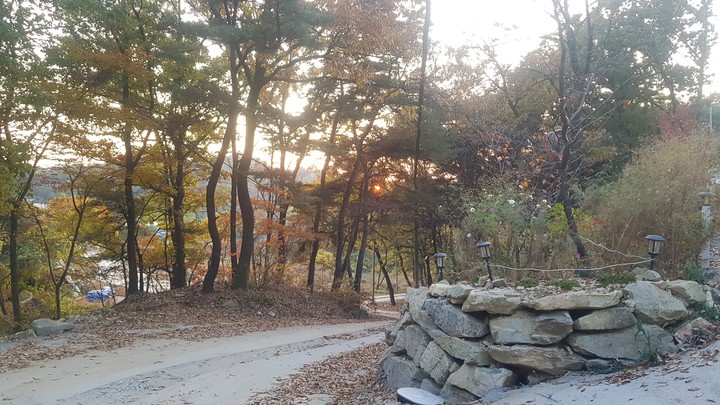 자연의 풍경