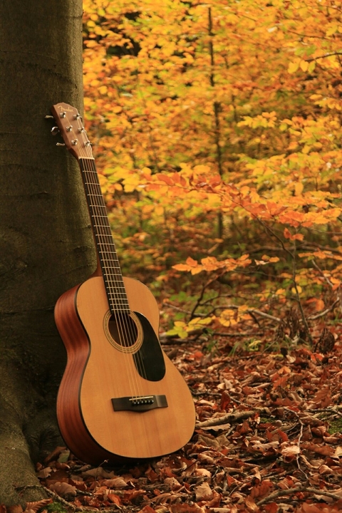 guitar