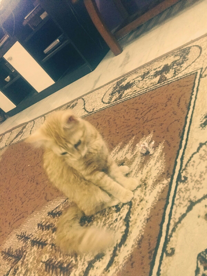 Cute